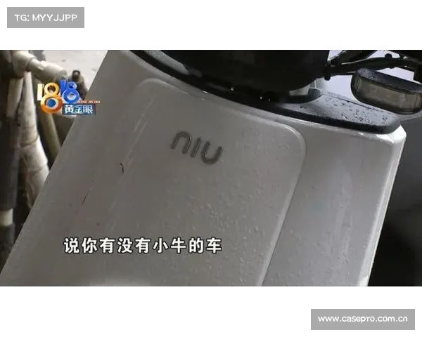 “小龟”感觉还行,“小牛”很是折腾